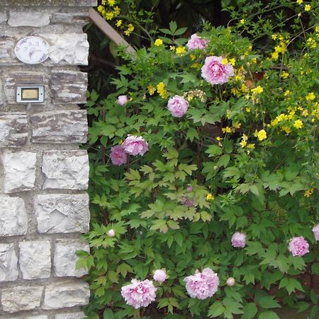 B&B Il Glicine Bedizzole Екстер'єр фото