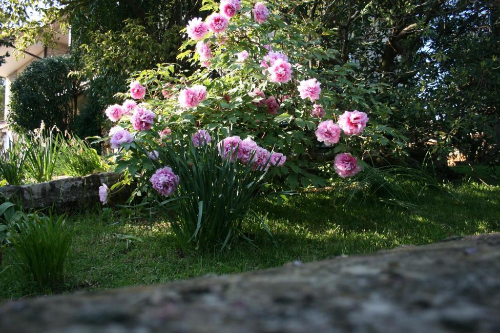 B&B Il Glicine Bedizzole Екстер'єр фото